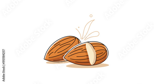 Two organic almonds shown together with one whole and one cut in half revealing the white interior for food ingredient concepts.