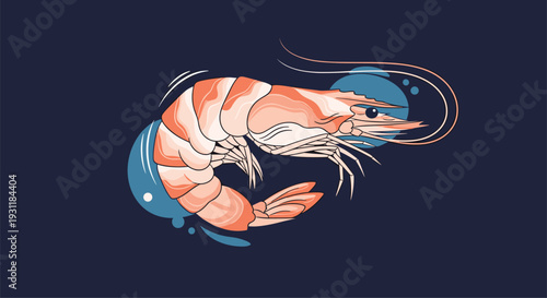Detailed illustration of a cooked shrimp or prawn shown against a dark blue background with abstract water circles.