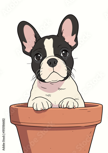 A French Bulldog is sitting inside a flower pot. The dog looks up at the viewer with a curious expression.