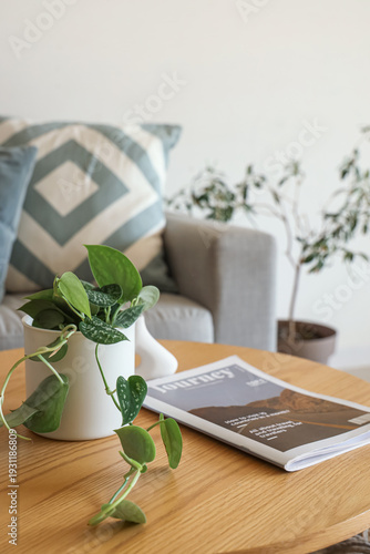 Plant with magazine on tabl...