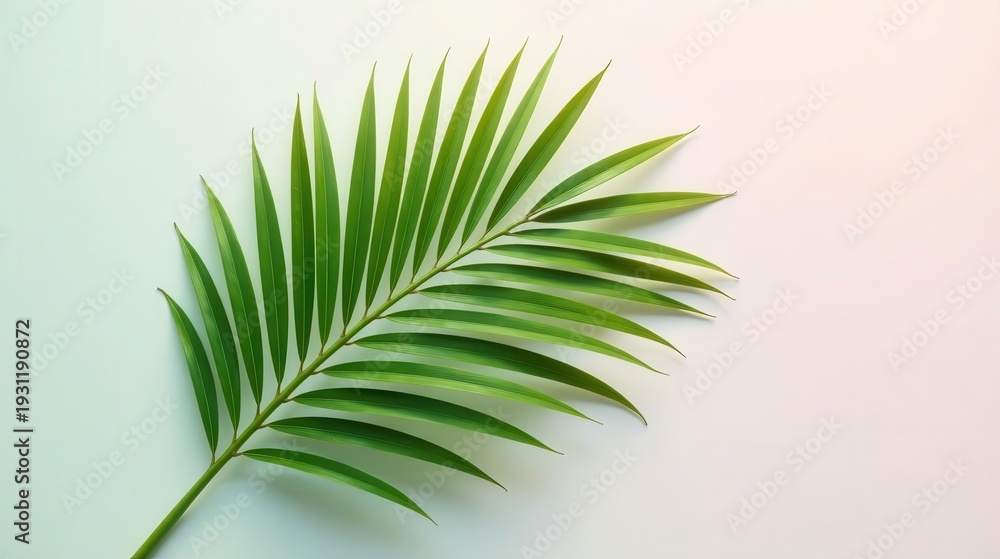 Obraz premium A Single Vibrant Green Palm Frond Against a Soft, Light Background, Perfect for Minimalist Designs and Tropical Themes