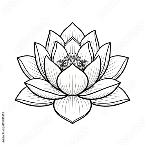 Elegant Lotus Flower Outline Drawing, Symbol of Purity and Enlightenment