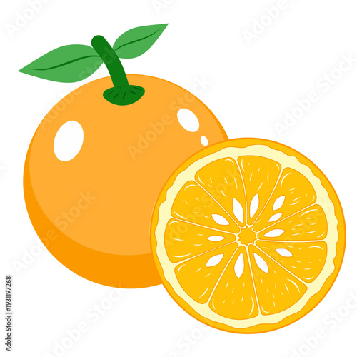 seamless citrus pattern, lemon slice isolated on white background, Freshness Orange Slice Frame, Fresh Orange Slice Illustration, orange vektor illustration, lime dan lemon vektor illustration.