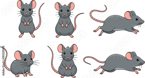 Cute cartoon mouse character set in different poses grey rodent animal vector illustration collection for kids education wildlife design and mascot creation