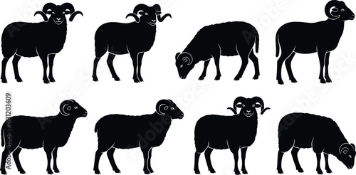 Ram and sheep silhouette collection set, black farm livestock vector illustrations in different poses isolated on white background for agriculture and rural design