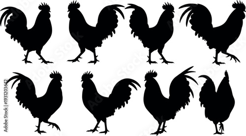 Rooster silhouette collection set, black chicken vector illustrations in different poses isolated on white background for farm, agriculture and design projects