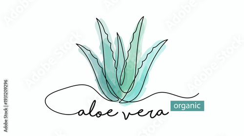Continuous line art illustration of aloe vera plant with green watercolor splash and organic typography, concept for skincare branding, organic product logo and natural cosmetic packaging