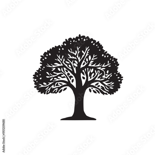 Black Silhouette of Terminalia Arjuna Tree with Wide Canopy