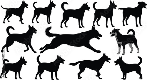 Collection of twelve black dog silhouettes with one colored dog illustration, diverse poses, standing, running, canine identity variation design