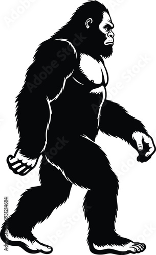 Silhouette of Bigfoot creature walking upright, cryptozoology folklore concept, mysterious animal study, mythical beast illustration design