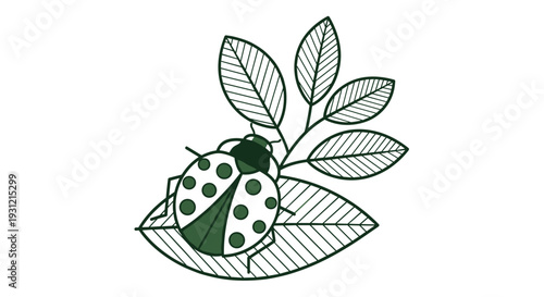 Stylized line art illustration of a ladybug with polka dots resting on a delicate leaf and stem symbolizing nature