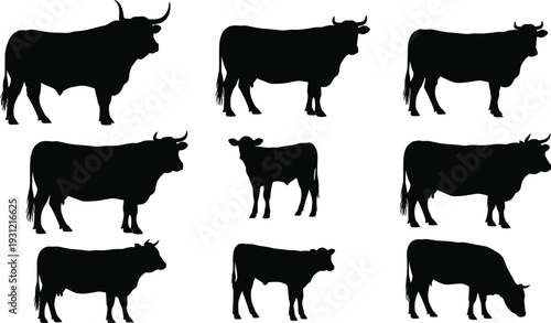 Silhouettes of cows in diverse postures, livestock concept, agricultural study, animal diversity representation, farm animal illustration design