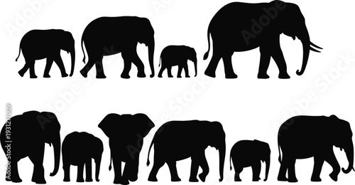 Black silhouette collection of elephant family and herd in various walking poses, African wildlife safari concept isolated on white background