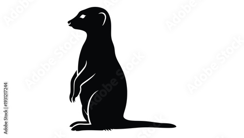 A black silhouette of a small mammal sitting on its hind legs isolated on white background, Vector