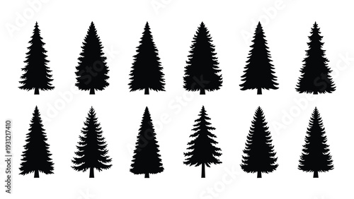 A group of pine tree silhouettes on a white background isolated on white background, Vector