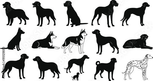 Silhouettes of diverse dog breeds in various poses, pet concept, animal study, canine diversity, domestic dog illustration design