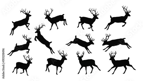 A group of deer silhouettes in various running positions isolated on white background, Vector