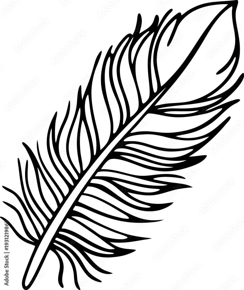 Fototapeta premium Black and white illustration of a single feather with detailed lines and a curved shape