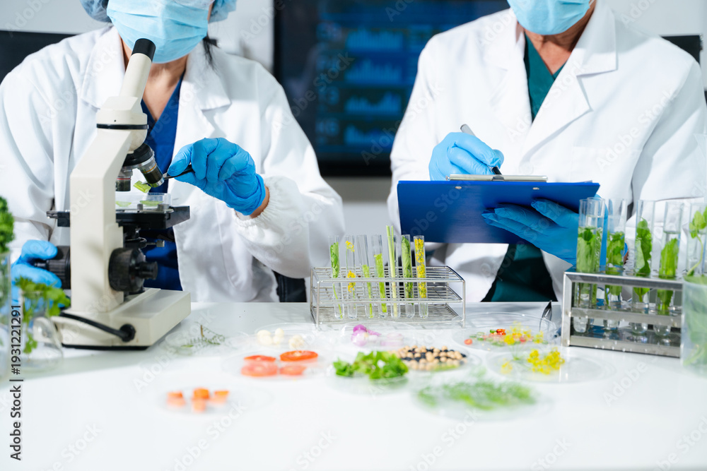 Fototapeta premium Scientists conducting biotechnology laboratory research with plant and food samples. Medical innovation, healthcare testing, pharmaceutical
