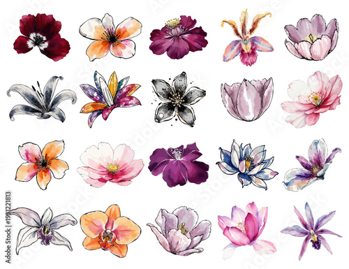 Flowers Set Watercolor Drawing. Bright Flowers Isolated on White Background. Vector Illustration.