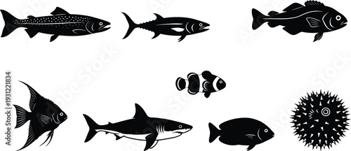 Fish silhouettes collection with marine species, shark, clownfish and pufferfish, ocean wildlife icons isolated for aquarium, sea life, fishing and marine biology design