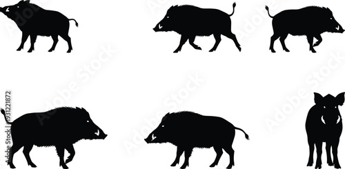 Wild boar silhouettes set with walking and standing poses, forest animal collection, wildlife mammal icons isolated for hunting, nature, safari and fauna design