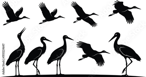 Crane bird silhouettes set with flying and standing poses, elegant wading birds collection isolated for wildlife, wetland nature, migration and ornithology design