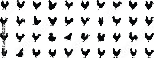 Collection of chicken and rooster silhouettes farm poultry vector set isolated black hen icons for agriculture design
