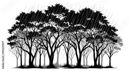 A monochrome vector depiction of a dense forest experiencing a refreshing rain, symbolizing nature's resilience and the cycle of renewal as life thrives even through challenging weather