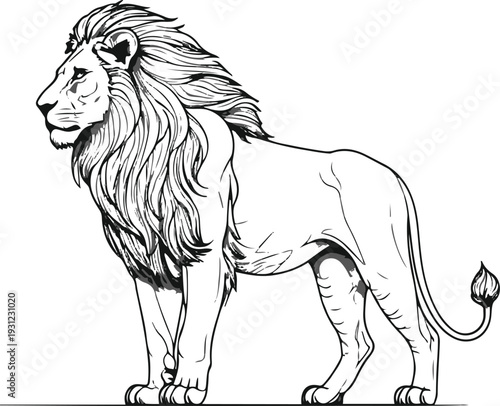 Minimal outline lion standing side profile, flowing mane drawn with continuous thin stroke, clean negative space, pure black line art, isolated on white background 3