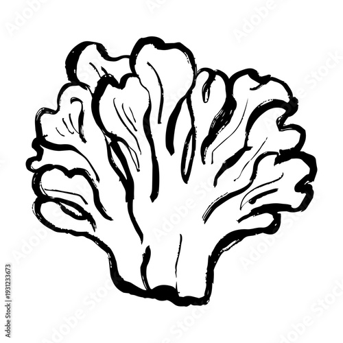 舞茸の線画イラスト
