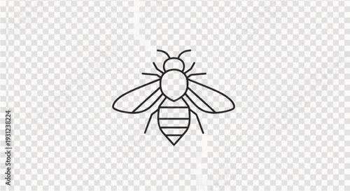 Simple Line Drawing of a Bee.