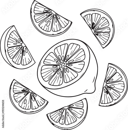 Lemon Slices Scattered Vector Silhouette Graphic Citrus Fruit Food Ingredient
