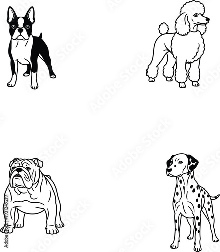 Collection of four minimalist line art illustrations featuring popular domestic dog breeds