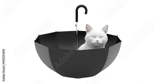 White Cat in Black Umbrella