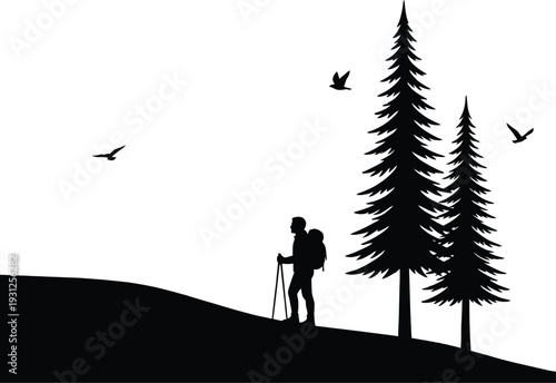 Hiker standing on hill with trekking poles, surrounded by pine trees and flying birds, vector illustration