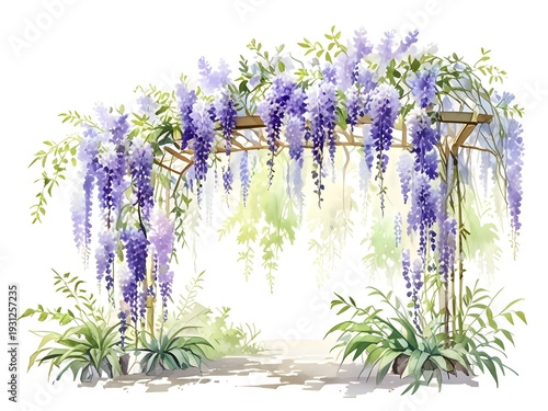 Wisteria Watercolor Illustration Art	