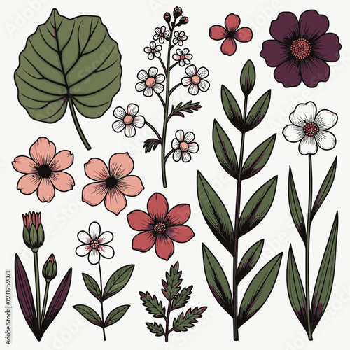 Hand-Drawn Floral Elements vector illustration