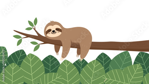 Adorable sloth sleeps peacefully on a tree branch above a dense layer of green leaves in the tropical jungle.