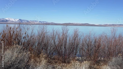 Wallpaper Mural Looking through the brush while driving along Utah Lake from moving vehicle. Torontodigital.ca