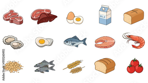 Set of colorful food icons represents different protein sources like meat, fish, eggs, and dairy products.
