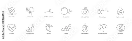 Premium Cosmetic Ingredients, Exfoliating Acids, and Botanical Oils Vector Icons Line Art