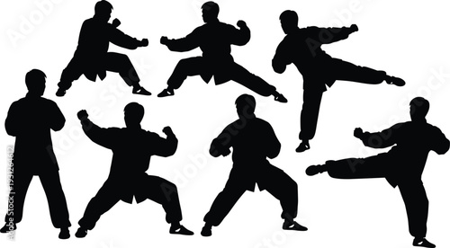 Martial arts silhouettes, punching, kicking, defensive stances, combat training, dynamic movement, discipline practice, fighter poses, action illustration, sport vector