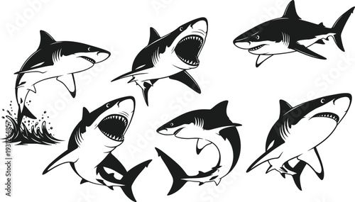 Set of black and white Great White Shark vector illustrations jumping and swimming isolated on white background for marine mascot logos.