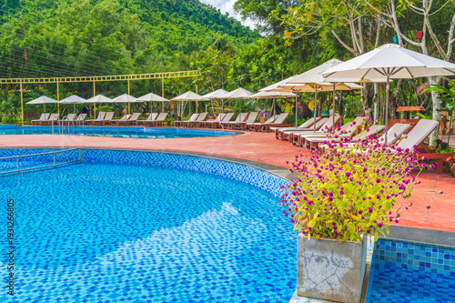 Wallpaper Mural View of the tropical outdoor pool with sun loungers, surrounded by palm trees under a bright sunny sky. Torontodigital.ca