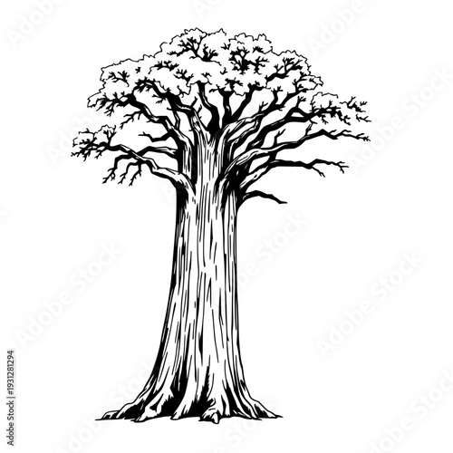 Detailed Vintage Ink Sketch of a Giant Sequoia Tree, Capturing Ancient Nature and Intricate Bark Textures on a Clean White Background