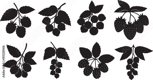 Black Solid Berry Branch Silhouettes Set of Six on White Background