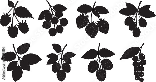 Black Solid Berry Branch Silhouettes Set of Six on White Background