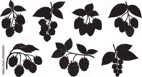 Black Solid Berry Branch Silhouettes Set of Six on White Background