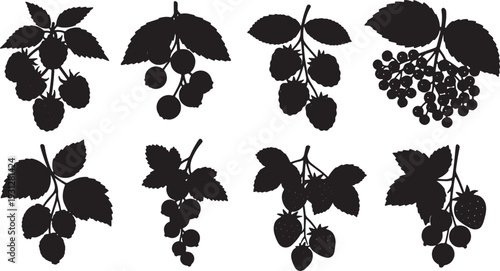 Black Solid Berry Branch Silhouettes Set of Six on White Background